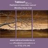 Tablouri, Abstracte, Momento Della Natura II