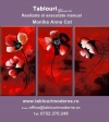 Tablouri, Flori, Sensualit & Agrave