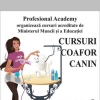 Cursuri Coafura Canina Brasov