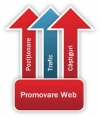 Promovare site online