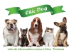 Salon de infrumusetare canina si felina timisoara - ChicDog