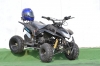 Atv 2x4 Quad AllRoad 125