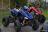 Atv 2x4 Raptor cu garantie