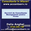 Servicii de Consultanta Management pentru Firme