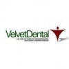 Promotia lunii februarie la Velvet Dental - Coroana ceramica zirconiu + Albire dentara