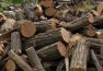 vindem lemne de foc 