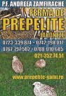 Vindem prepelite si pui de prepelita, oua si carne