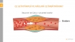 Laminine Omega+++ curata sistemul circulator si reactiveaza celulele stem