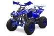 ATV NITRO MOTORS Pro Renegade Edition, M8, 2021, SEMI-AUTOMAT