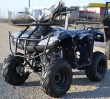 ATV KXD MOTORS WARRIOR LEMON M8, 2021, SEMI-AUTOMAT