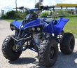 ATV NITRO MOTORS WARRIOR LED 3G M8, 2021, SEMI-AUTOMAT