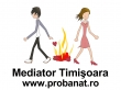 Mediator-Timisoara-birou-de-mediere-Matei-Bitea